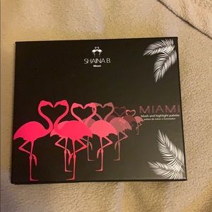 Shaina B. Miami blush and highlight palette